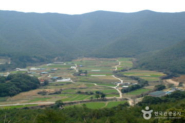 보길도 세연정 여행 추천 - 메고지고