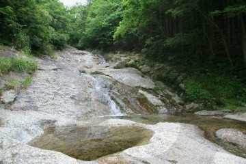 제암산자연휴양림 여행 추천 - 메고지고
