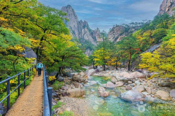 설악산국립공원 자동차야영장 여행 추천 - 메고지고