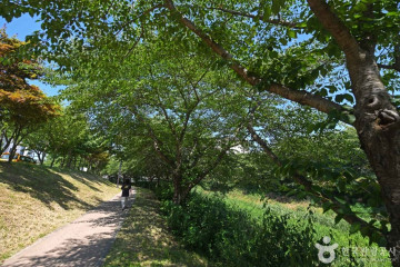 당진향교 여행 추천 - 메고지고