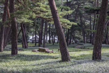 청계사(상주) 여행 추천 - 메고지고
