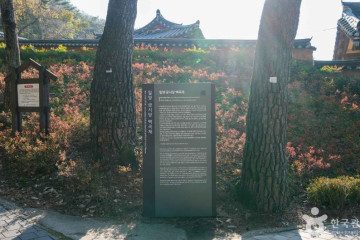 용산서원(밀양) 여행 추천 - 메고지고