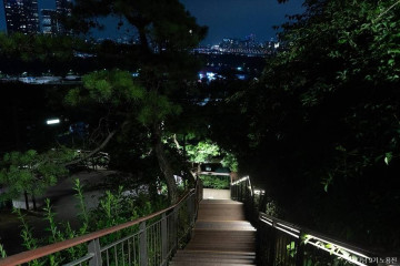 응봉산 암벽등반공원 여행 추천 - 메고지고