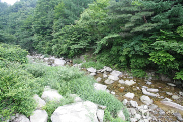 금원산 여행 추천 - 메고지고