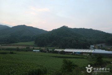 사자산 여행 추천 - 메고지고