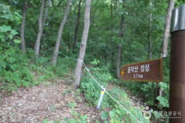 홍천고인돌오토캠핑장 여행 추천 - 메고지고