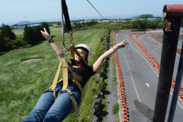 김경숙해바라기농장 여행 추천 - 메고지고