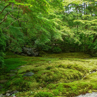 Naokijp / https://commons.wikimedia.org/wiki/File:Komyoji_Rurikoin,_Japanese_Garden_01.jpg / Usage: Commercial reuse allowed subject to correct attribution and license conditions; verify actual download before import