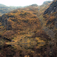 Frode Inge Helland · Wikimedia Commons · CC BY-SA 3.0 / https://commons.wikimedia.org/wiki/File:2006_10_13-Aurlandsdalen_Nesb%C3%B8_Farm.jpg / Rights: https://commons.wikimedia.org/wiki/File:2006_10_13-Aurlandsdalen_Nesb%C3%B8_Farm.jpg / Usage: 저작자·출처·라이선스 링크를 표시하고 변경 시 변경 내용을 명시해야 하며 동일조건변경허락을 준수.