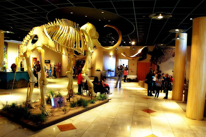 애리조나 자연사박물관 (Arizona Museum of Natural History)