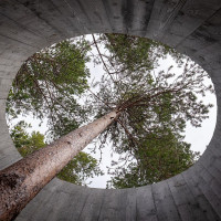 Jules Verne Times Two / julesvernex2.com · Wikimedia Commons · CC BY-SA 4.0 / https://commons.wikimedia.org/wiki/File:Sohlbergplassen_viewing_point_seen_from_below%2C_Norway_(PPL1-Corrected)_julesvernex2.jpg / Rights: https://commons.wikimedia.org/wiki/File:Sohlbergplassen_viewing_point_seen_from_below%2C_Norway_(PPL1-Corrected)_julesvernex2.jpg / Usage: 저작자·원본·라이선스 링크 명시, 개작한 경우 변경사항 명시. CC BY-SA는 동일조건변경허락 준수.