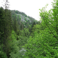 Margoz · Wikimedia Commons · CC BY-SA 4.0 / https://commons.wikimedia.org/wiki/File:Hornad_Gorge.jpg / Rights: https://commons.wikimedia.org/wiki/File:Hornad_Gorge.jpg / Usage: 원작자, 원본 주소, 라이선스 링크와 편집·크롭 시 변경 사실 표시. CC BY-SA를 수정 배포할 경우 동일/호환 라이선스 조건 유의.
