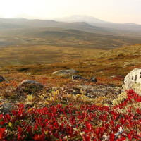 Photo: FrDr · CC BY-SA 4.0 · Wikimedia Commons / https://commons.wikimedia.org/wiki/File:Dovrefjell-Sunndalsfjella_nasjonalpark_01.jpg / Rights: https://commons.wikimedia.org/wiki/File:Dovrefjell-Sunndalsfjella_nasjonalpark_01.jpg / Usage: Wikimedia Commons 개별 File 페이지를 통해 저작자와 재사용 라이선스 대조. CC BY·BY-SA는 저작자·출처·라이선스 링크 및 변경사항 표기, SA 수정 시 동일조건. Public Domain/CC0도 출처 보존 권장. 원본 파일 다운로드와 URL HTTP·MIME 테스트는 수행하지 않음. 건축물 주변 독립 예술작품은 별도 저작권 주의.