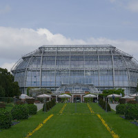 Photo: Polibil / Wikimedia Commons / CC BY-SA 4.0 (원본 및 라이선스: https://commons.wikimedia.org/wiki/File:Botanischer_Garten_Berlin_2024_06.jpg) / https://commons.wikimedia.org/wiki/File:Botanischer_Garten_Berlin_2024_06.jpg / Rights: https://commons.wikimedia.org/wiki/File:Botanischer_Garten_Berlin_2024_06.jpg / Usage: 저작자 표시·라이선스 링크 유지. 원본 다운로드 HTTP·파일 디코딩은 별도 검증 필요