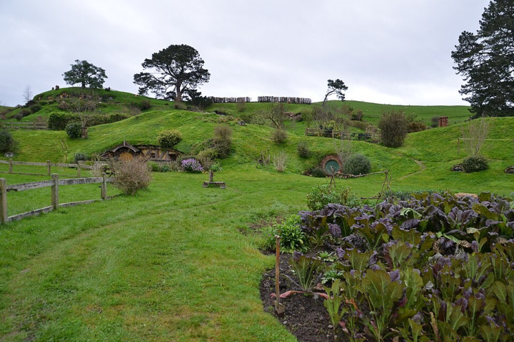 호비튼 무비 세트 (Hobbiton Movie Set)