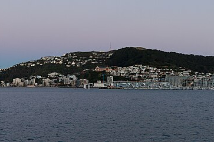 마타이랑이·마운트 빅토리아 전망대 (Matairangi / Mount Victoria Lookout)