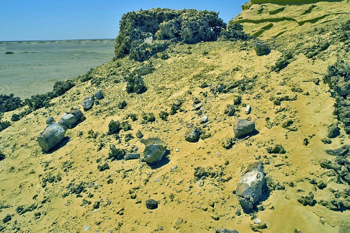 와디알히탄 고래 계곡 (Wadi Al-Hitan)