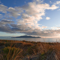 ELLK Photo / Wikimedia Commons · CC BY 2.0 / https://commons.wikimedia.org/wiki/File:Kapiti_Island_from_the_Track.jpg / Usage: 출처·저작자·라이선스 표시; 변경 시 개별 라이선스 조건 준수