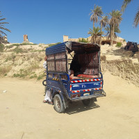 Marsupium · CC BY 4.0 · Wikimedia Commons / https://commons.wikimedia.org/wiki/File:Gebel_el-Mawta_01.jpg / Usage: 저작자·원본 파일 페이지·라이선스명·변경 여부 기재. CC BY-SA로 각색한 경우 해당 공유조건 준수. 파일 URL은 표준 MD5 경로 방식 생성; 실제 원본 HTTP 다운로드 및 관리자 가져오기 미검사.
