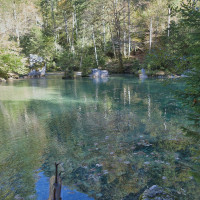Ajznponar · Wikimedia Commons · CC0 1.0 / https://commons.wikimedia.org/wiki/File:Kamniska_Bistrica_spring_01.jpg / Rights: https://commons.wikimedia.org/wiki/File:Kamniska_Bistrica_spring_01.jpg / Usage: Wikimedia Commons 개별 파일 페이지의 저작자·CC0 1.0 표기 확인. 사진 저작권 조건에 따른 상업적 재사용 허용. 저작자·출처·라이선스 링크와 수정·리사이즈 사실 기재; CC BY-SA는 동일조건변경허락 의무. 사진 속 시설·기념물·문화재·미술품 등의 별도 권리는 공개 라이선스에 포함된다고 간주하지 않음.