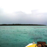 Abu Shawka · CC0 1.0 · Wikimedia Commons / https://commons.wikimedia.org/wiki/File:Ile_aux_Aigrettes_-_Mauritius.jpg / Usage: 개별 Commons 파일의 CC0 공개 확인. 출처와 저작자를 투명하게 표시.