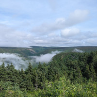 ArcaneCraeda / Wikimedia Commons / CC BY-SA 4.0 / https://commons.wikimedia.org/wiki/File:Cape_Breton_Highlands_National_Park_from_the_Cabot_Trail.jpg / Rights: https://commons.wikimedia.org/wiki/File:Cape_Breton_Highlands_National_Park_from_the_Cabot_Trail.jpg