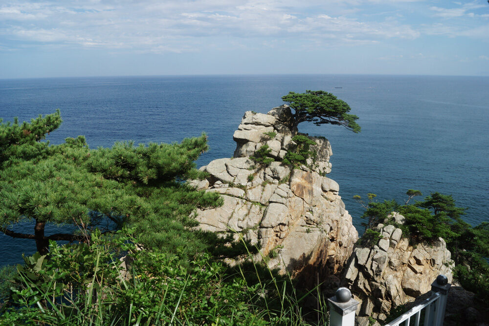 하조대 여행 추천 - 메고지고
