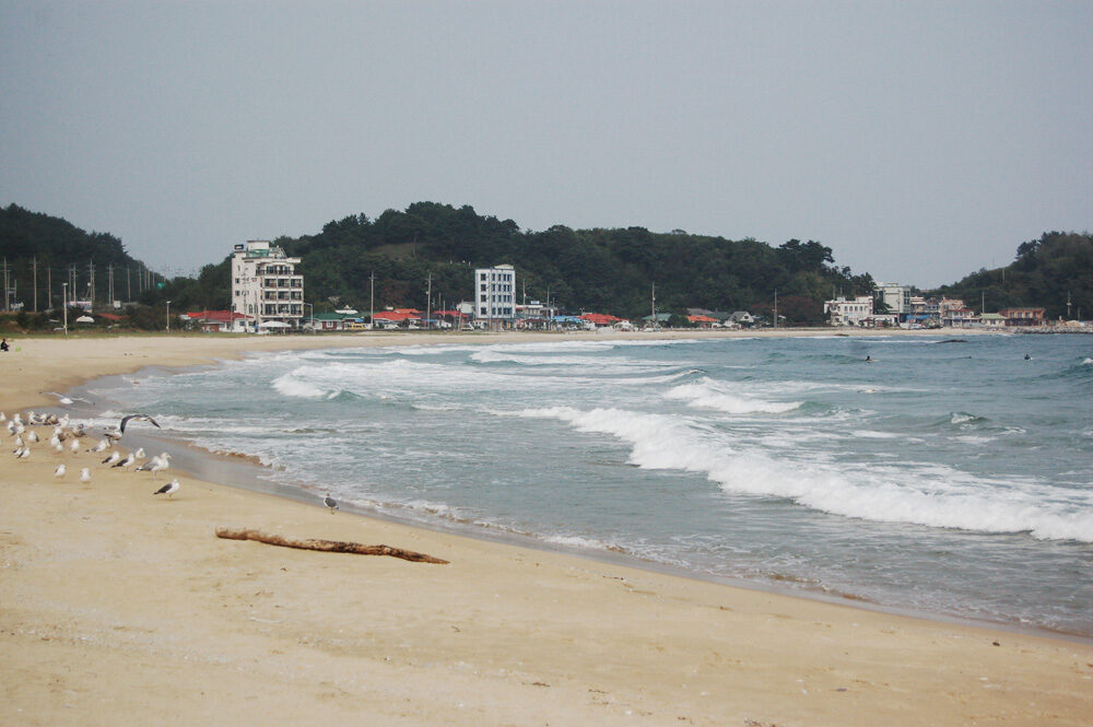죽도해수욕장 여행 추천 - 메고지고