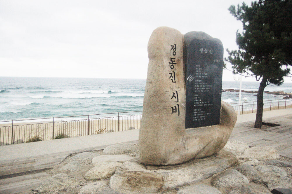 정동진 (정동진역) 여행 추천 - 메고지고
