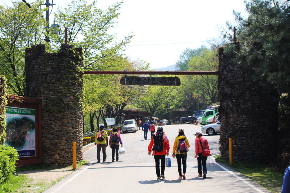 계족산 여행 추천 - 메고지고