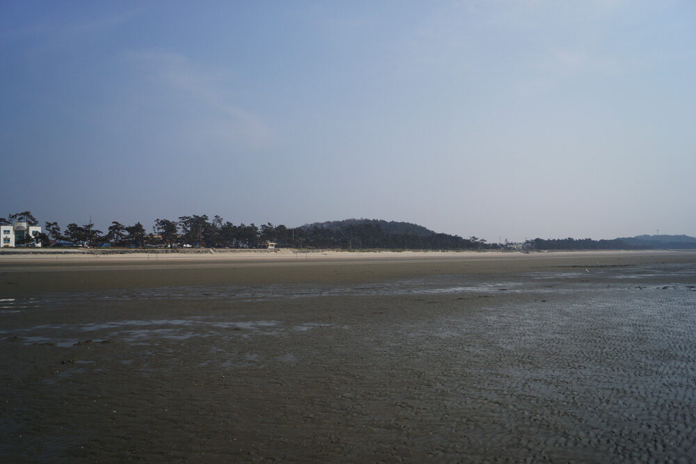 동호해변 여행 추천 - 메고지고