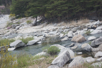 상림공원 여행 추천 - 메고지고