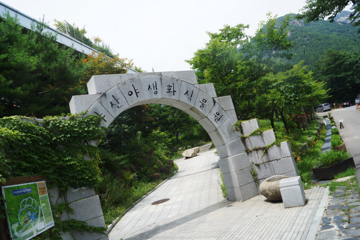 가야산야생화식물원 여행 추천 - 메고지고