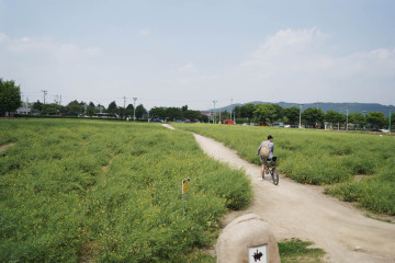 첨성대 여행 추천 - 메고지고