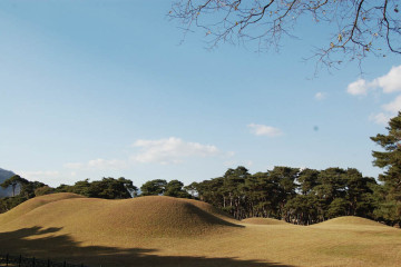 경주 나정 여행 추천 - 메고지고