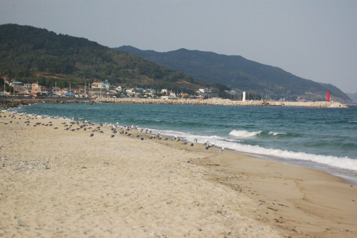 백석해수욕장 여행 추천 - 메고지고