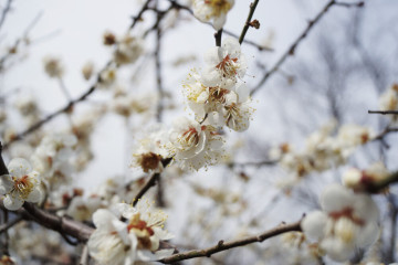 평사리공원 여행 추천 - 메고지고