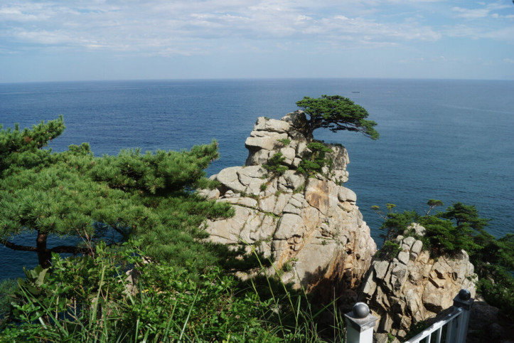 하조대 여행 추천 - 메고지고
