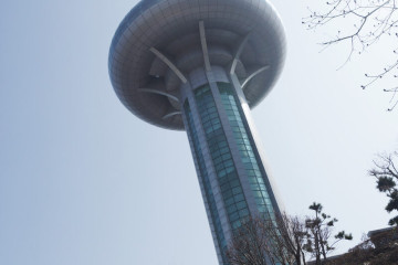 완도군해조류박람회관 여행 추천 - 메고지고