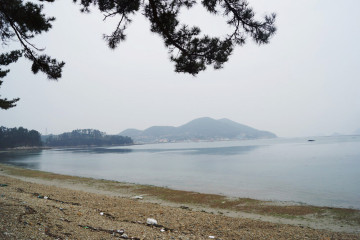 완도군해조류박람회관 여행 추천 - 메고지고