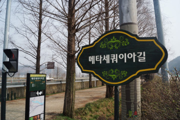 담양관방제림 여행 추천 - 메고지고