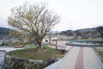 산수유사랑공원 여행 추천 - 메고지고
