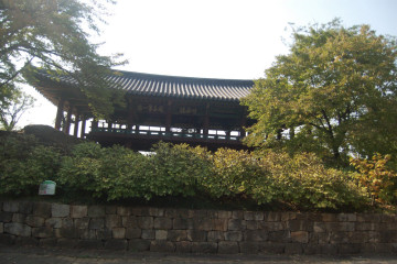 삼척해수욕장 여행 추천 - 메고지고