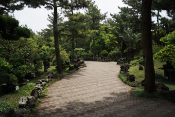 월령선인장마을 여행 추천 - 메고지고