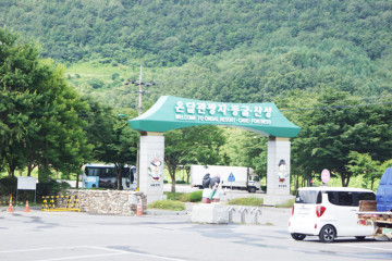 단양다누리아쿠아리움 여행 추천 - 메고지고