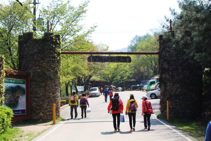 계족산 여행 추천 - 메고지고