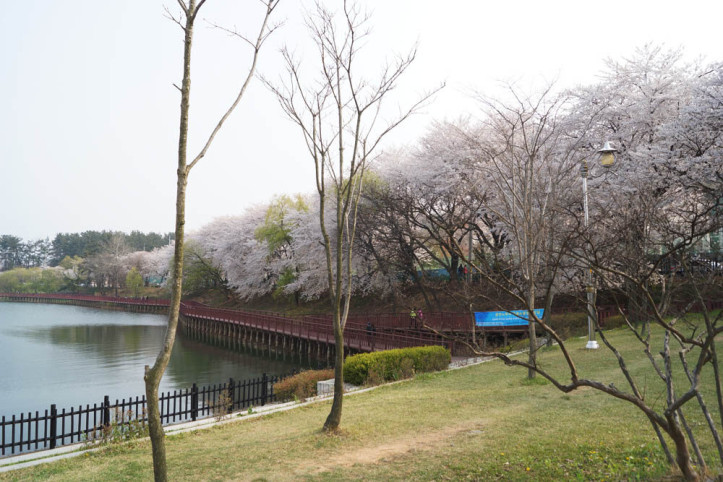 은파호수공원 여행 추천 - 메고지고