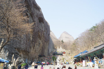사선대 여행 추천 - 메고지고