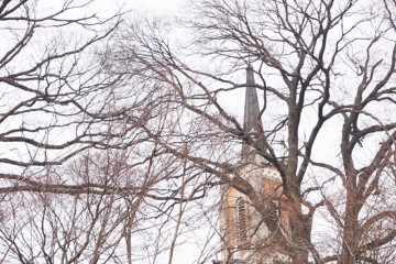 베어트리파크 여행 추천 - 메고지고