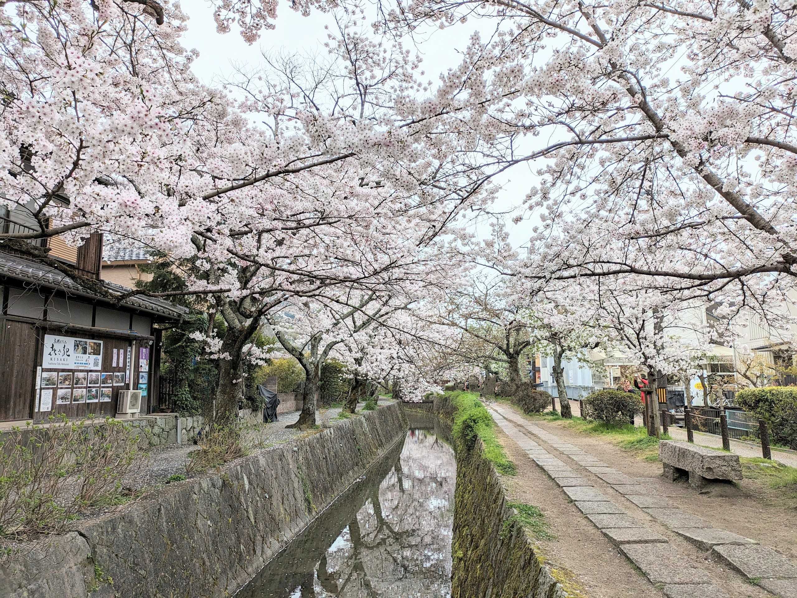 철학의 길(데쓰가쿠노미치)